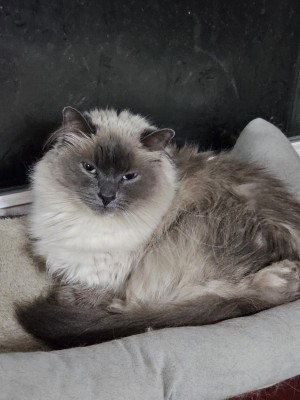 Photo of Tiny