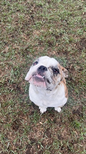 Photo of Rocket