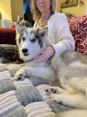 Photo of Spirit