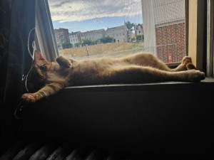 Photo of Brody