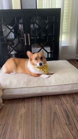 Photo of Finn