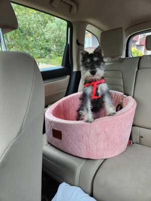 Photo of Zoe