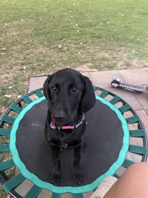 Photo of Molly